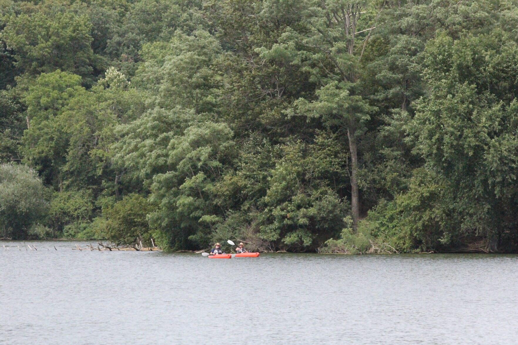 Pine_Lake_Fest_7474.JPG